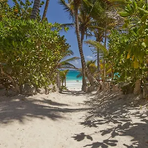 **** Hotel Dos Ceibas - Massage & Yoga Inclusive Mexico