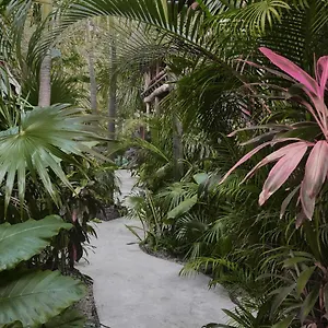 ** Hotel Boutique Terranova Mexico