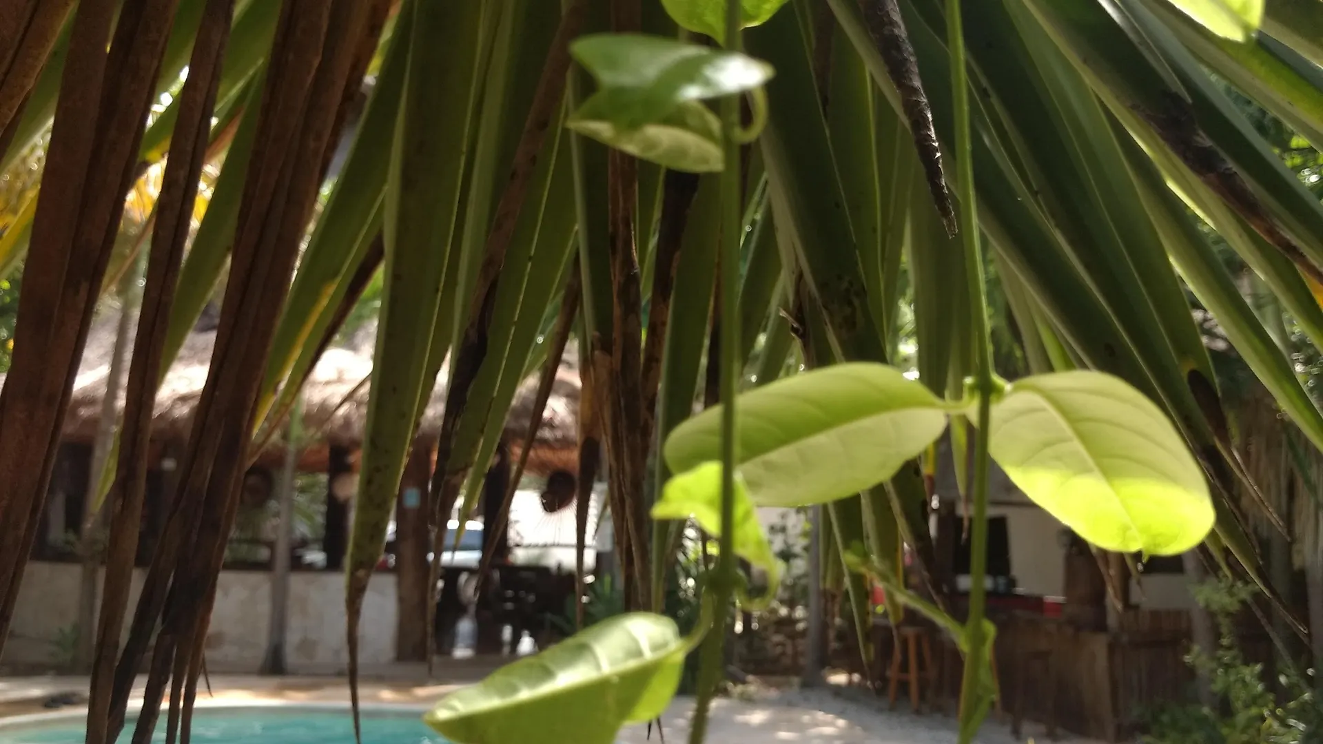 Green Tulum Cabanas & Gardens 3*,